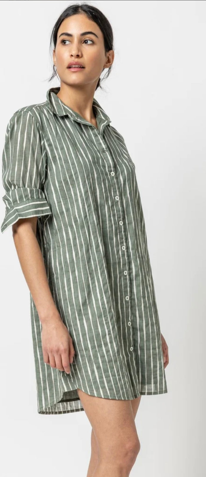 Stripe Shirt Dress